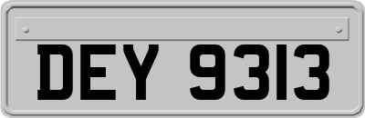 DEY9313