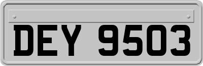 DEY9503