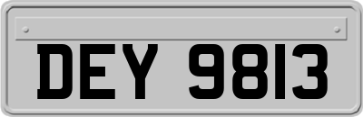 DEY9813
