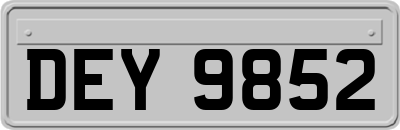DEY9852