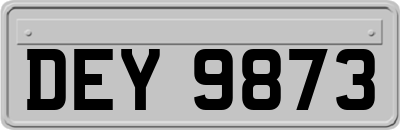DEY9873