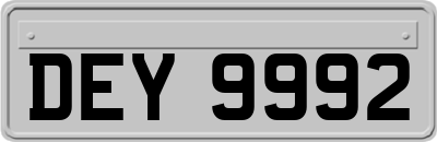 DEY9992