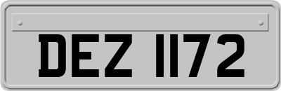 DEZ1172