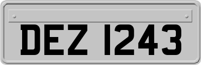 DEZ1243