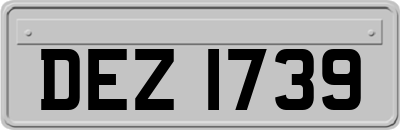 DEZ1739
