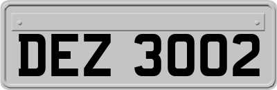 DEZ3002