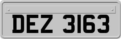 DEZ3163