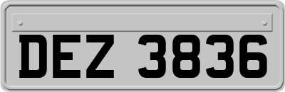 DEZ3836