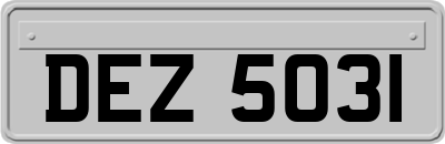 DEZ5031