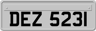 DEZ5231