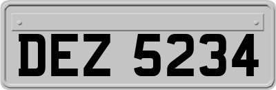 DEZ5234