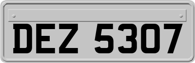 DEZ5307