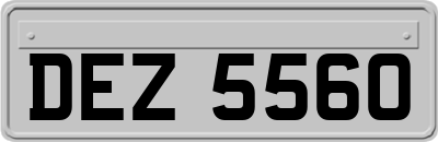 DEZ5560