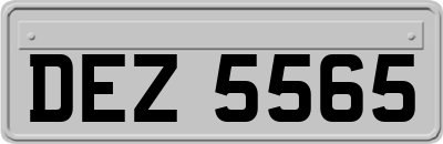 DEZ5565