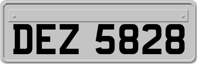DEZ5828