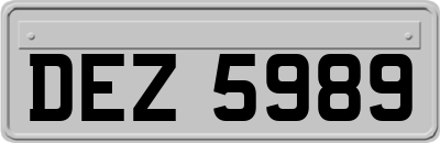 DEZ5989