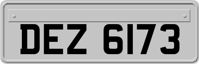 DEZ6173
