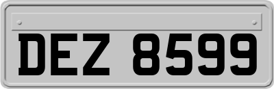 DEZ8599