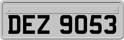 DEZ9053
