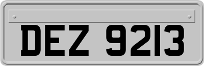 DEZ9213