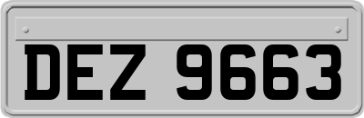 DEZ9663