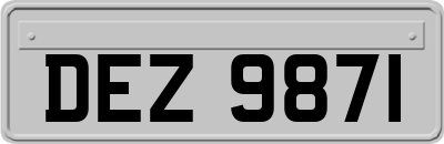 DEZ9871