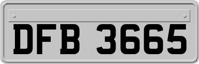 DFB3665
