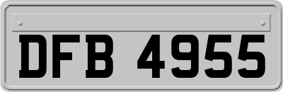DFB4955