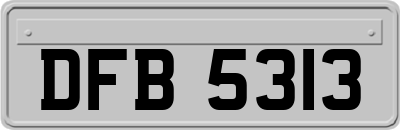 DFB5313