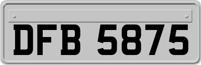 DFB5875
