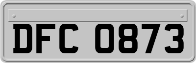 DFC0873