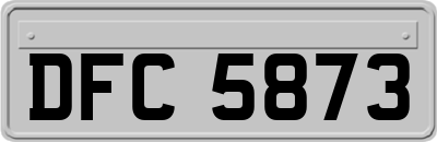 DFC5873
