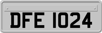 DFE1024