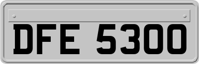 DFE5300