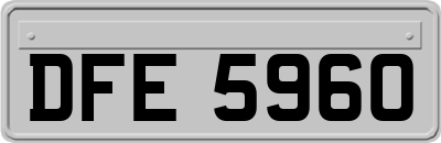 DFE5960
