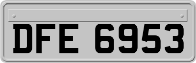 DFE6953