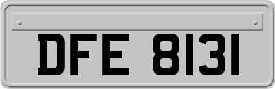 DFE8131