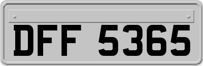 DFF5365