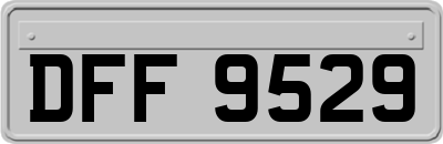 DFF9529