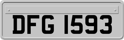 DFG1593