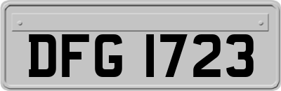 DFG1723