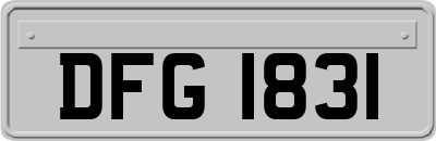 DFG1831