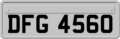 DFG4560