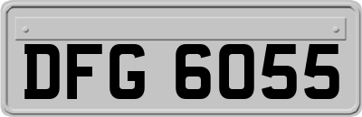 DFG6055