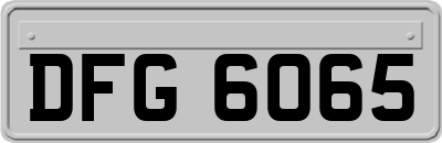 DFG6065