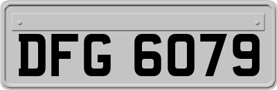 DFG6079