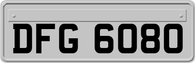 DFG6080