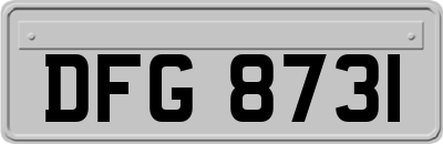 DFG8731