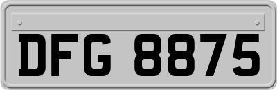 DFG8875