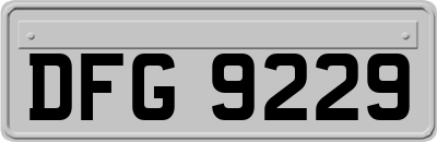DFG9229